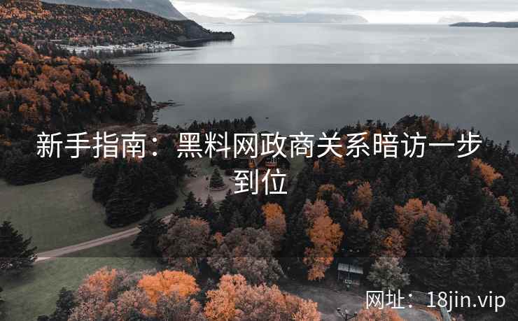 新手指南：黑料网政商关系暗访一步到位