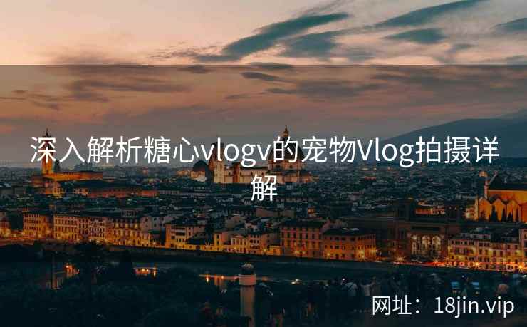 深入解析糖心vlogv的宠物Vlog拍摄详解