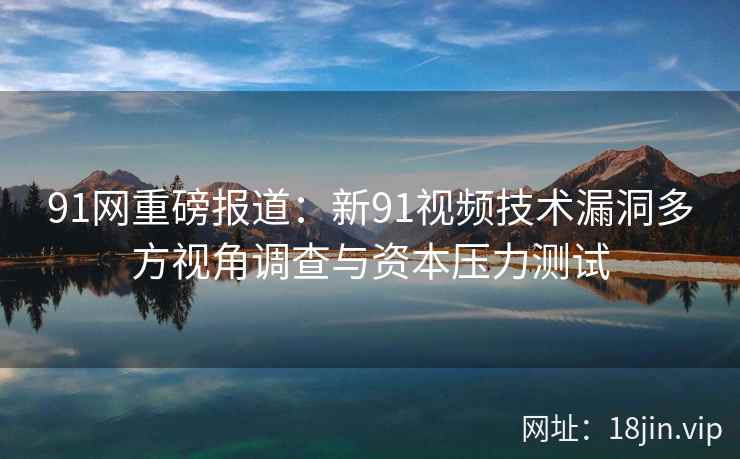 91网重磅报道：新91视频技术漏洞多方视角调查与资本压力测试