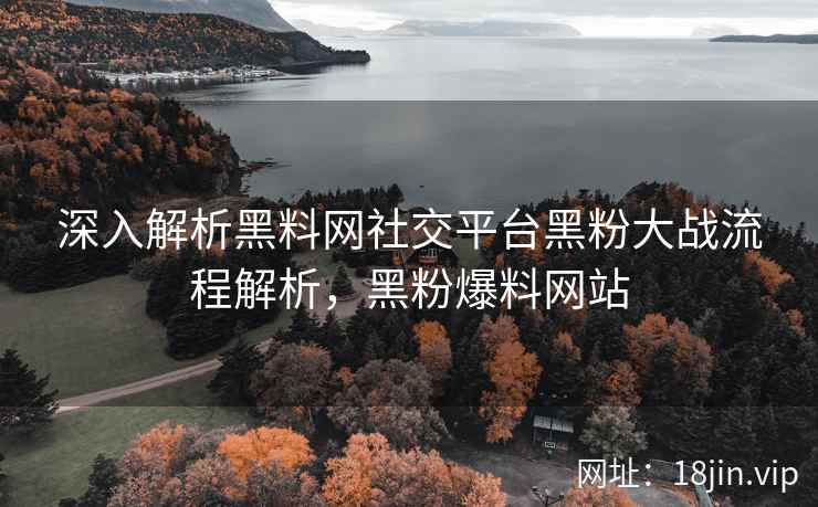 深入解析黑料网社交平台黑粉大战流程解析，黑粉爆料网站